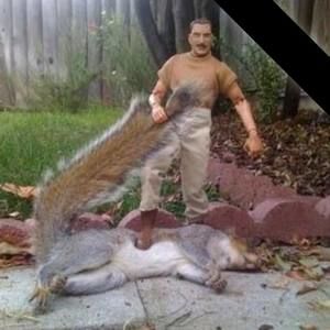 Meet your Posher, Bill